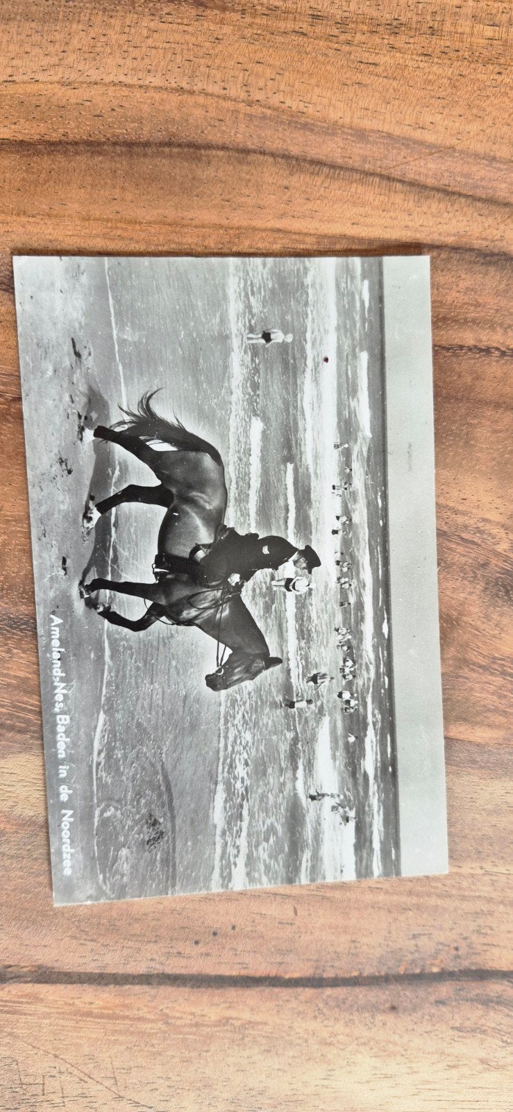 Ansichtkaart Bergen aan Zee, paard in de branding, Ophalen of Verzenden, 1920 tot 1940, Ongelopen, Noord-Holland