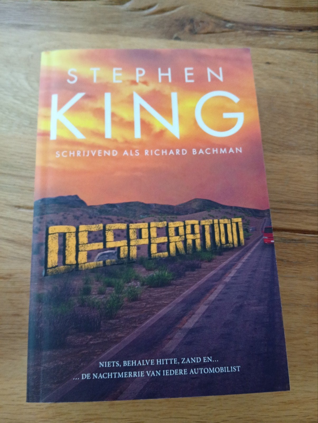 Stephen King - Desperation (als Richard Bachman), Boeken, Gelezen, Stephen King, Ophalen of Verzenden, Nederland