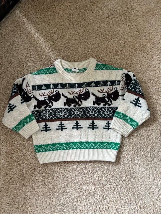 Hema Trui Takkie Maat 86/92. Als nieuw!, Kinderen en Baby's, Ophalen of Verzenden, Zo goed als nieuw, Jongetje of Meisje, Truitje of Vestje