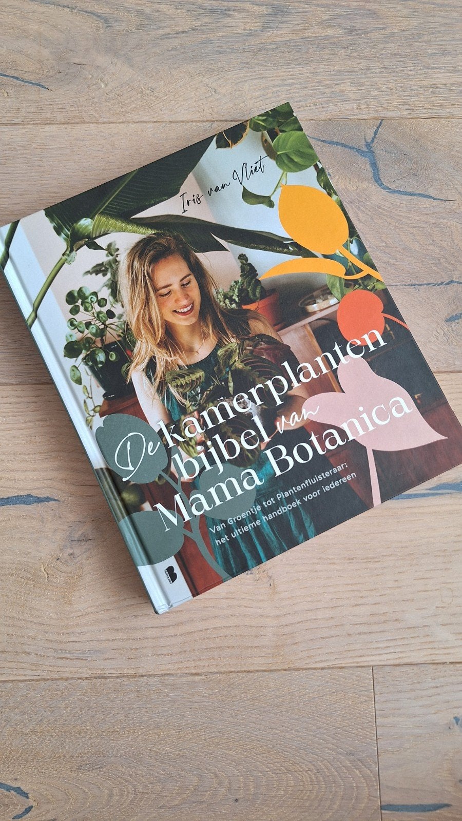 De kamerplantenbijbel van Mama Botanica - Iris van Vliet, Boeken, Ophalen of Verzenden, Zo goed als nieuw, Iris van Vliet, Kamerplanten