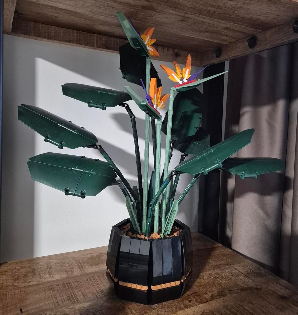 Lego Birds of paradise 10289 met doos!, Ophalen, Zo goed als nieuw