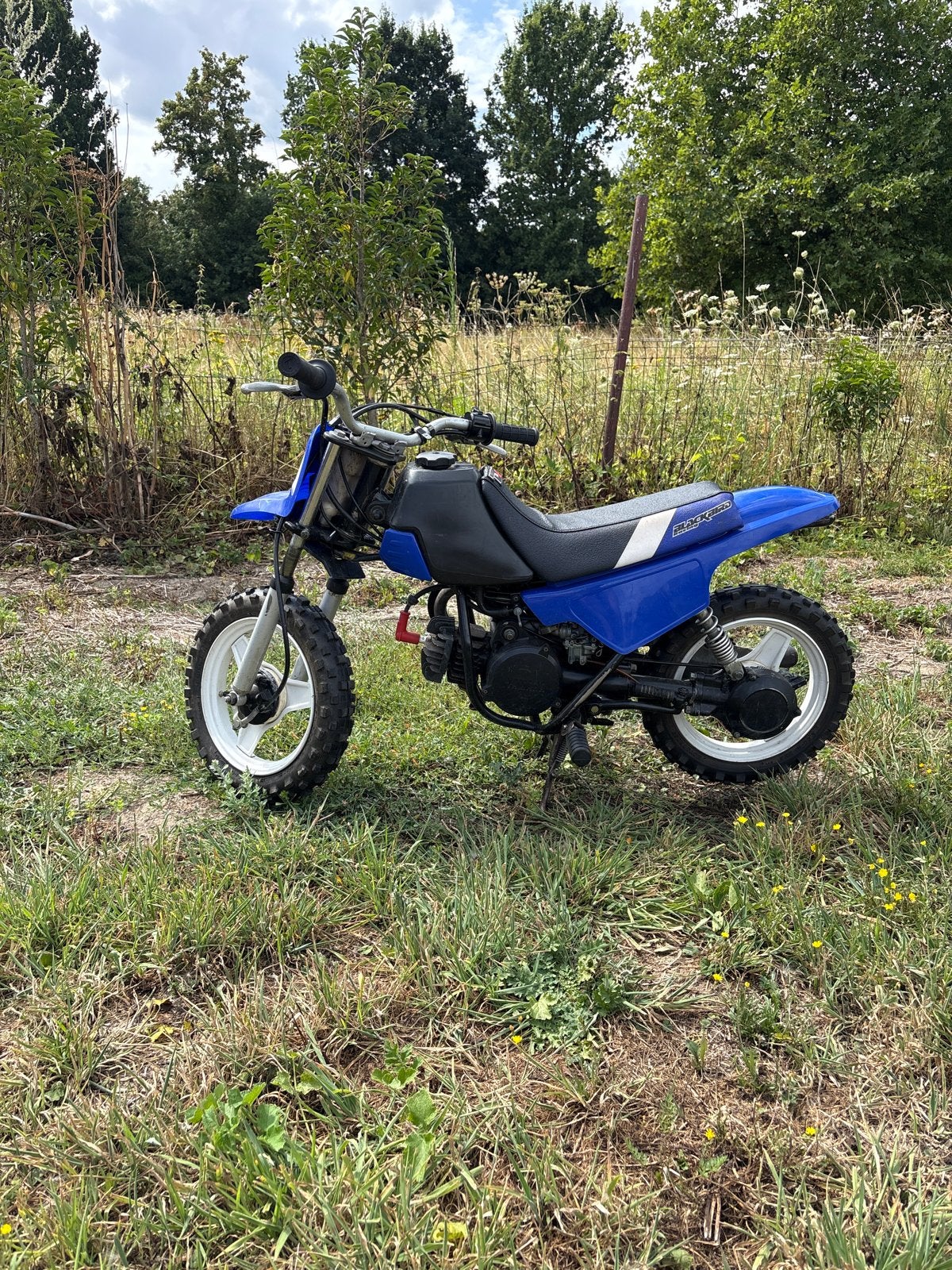Yamaha Pw50 - 2002 - Zeer goede staat, Fietsen en Brommers, Minibikes, Midibikes en Pitbikes, Ophalen of Verzenden, Zo goed als nieuw
