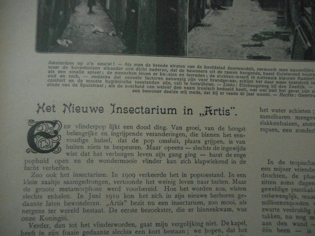 Artis. Nieuwe Insectarium. 1912., Ophalen of Verzenden, Voor 1920, Nederland, Knipsel(s)