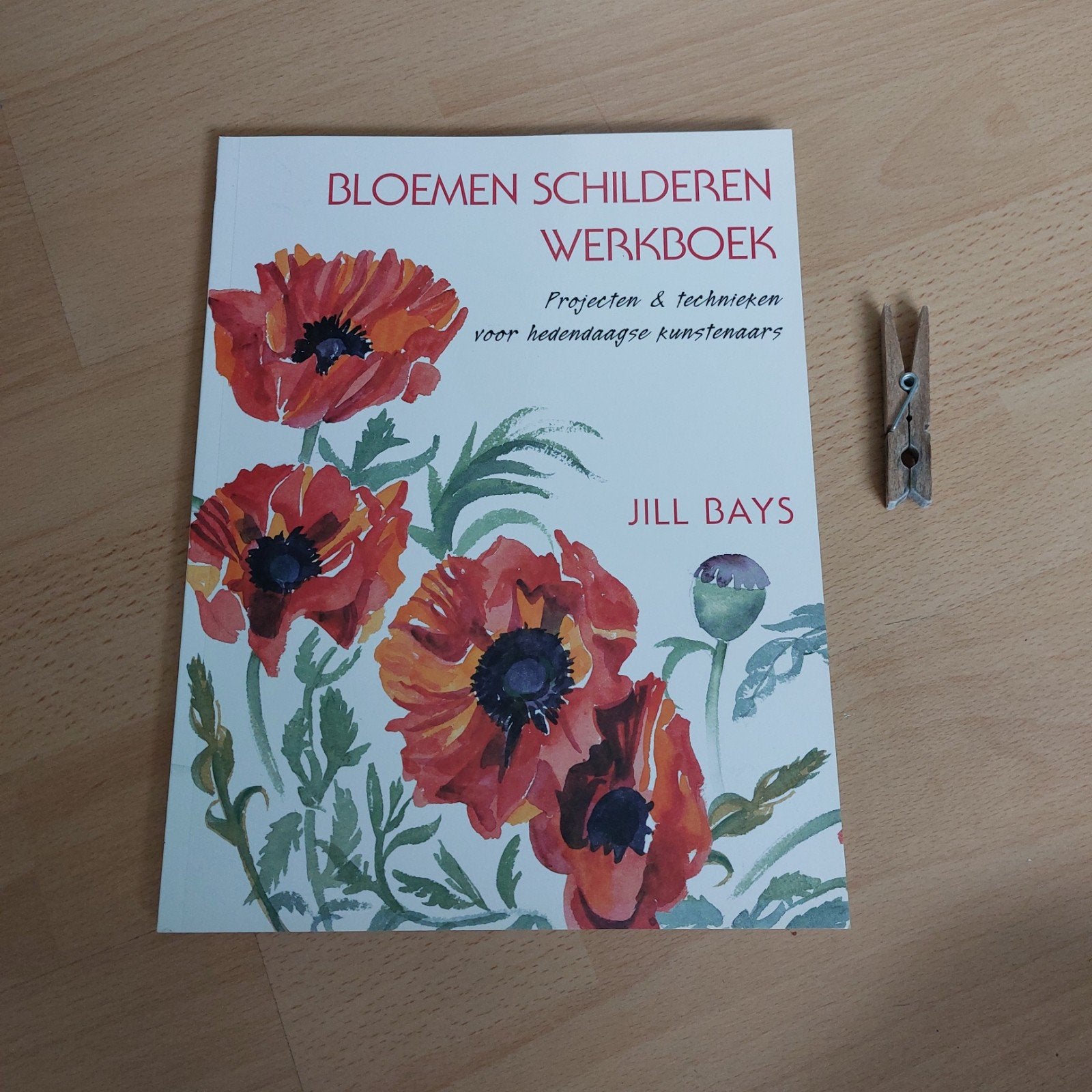 Bloemen Schilderijen Werkboek - Jill Bays, Boeken, Ophalen of Verzenden, Zo goed als nieuw, Overige onderwerpen, Jill Bays