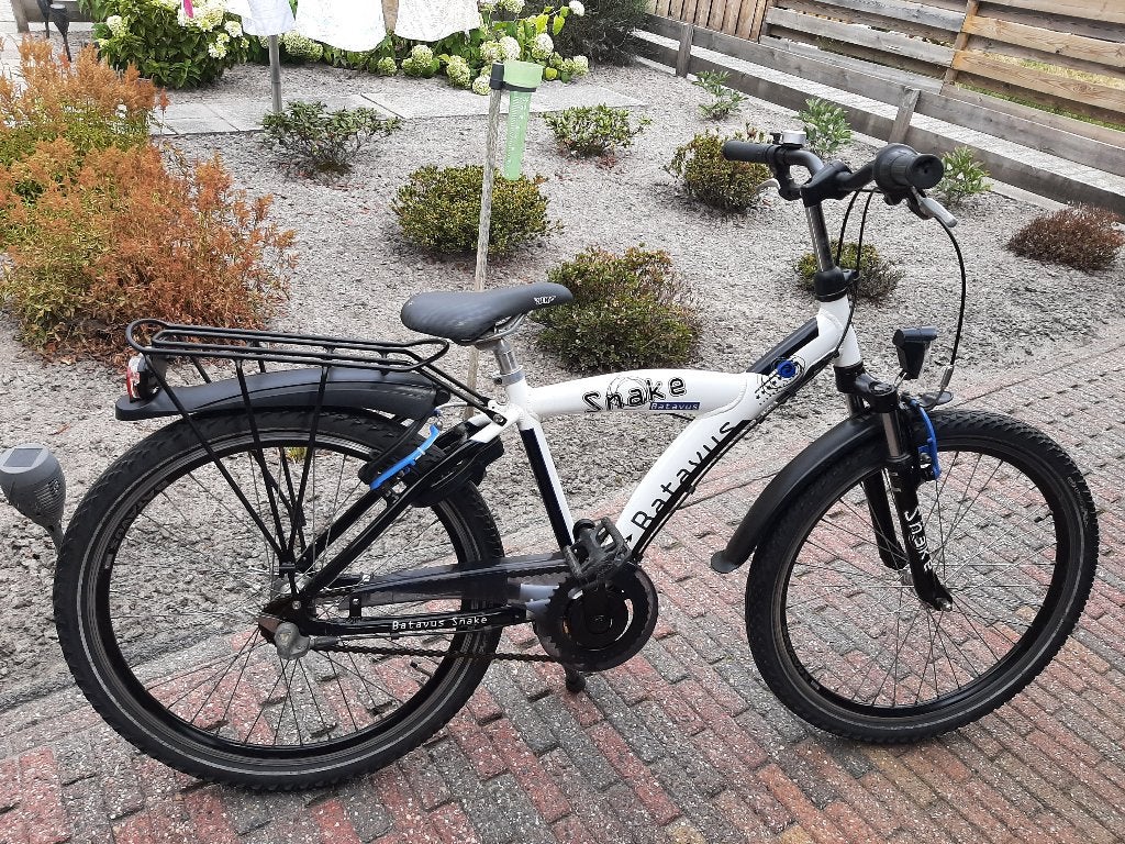 zgan: Prachtige Batavus Snake 24 inch 3 Versnellingen, Ophalen, Terugtraprem, 24 inch, Versnellingen