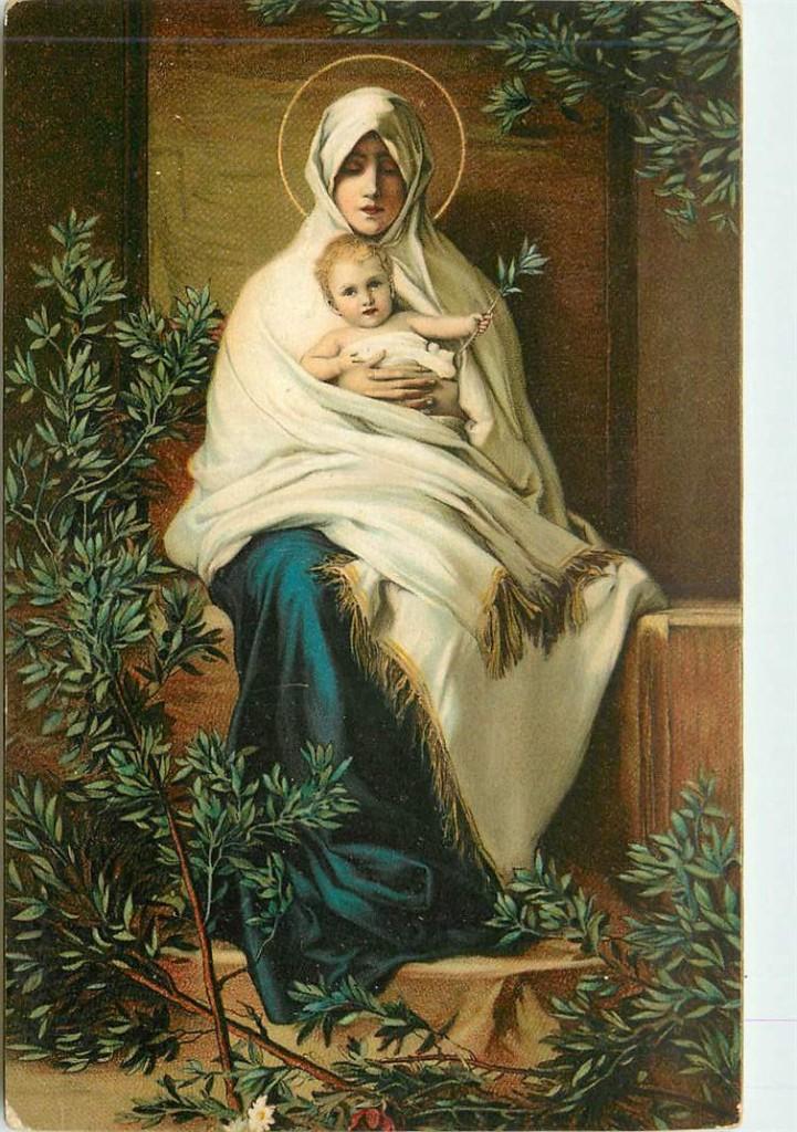 381-266-033 Madonna dell'Olivo, Verzenden, Voor 1920, Sterren en Beroemdheden