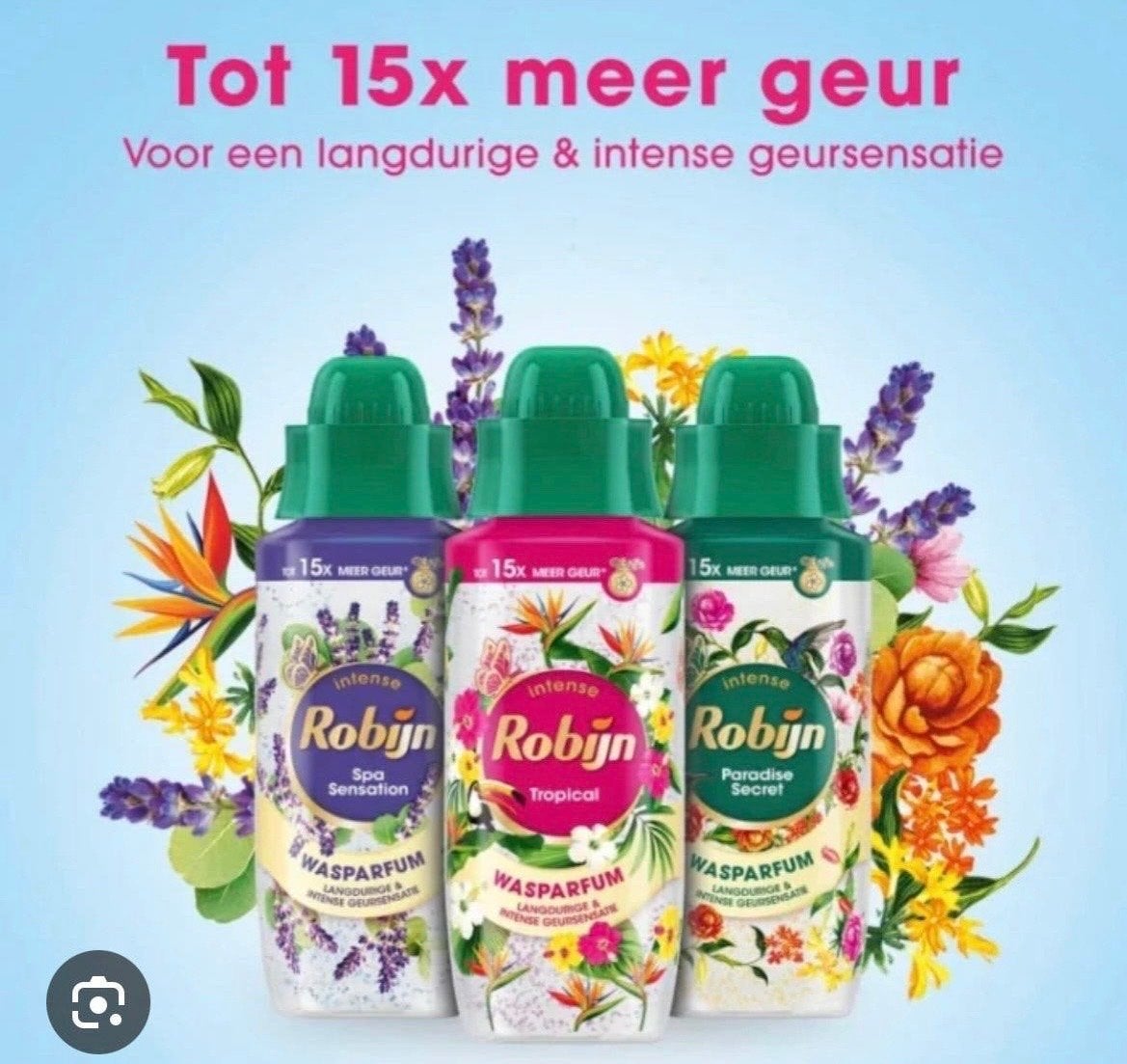 Robijn Intense Wasparfum - Diverse Geuren 10 stuks voor 20, Ophalen of Verzenden, Nieuw