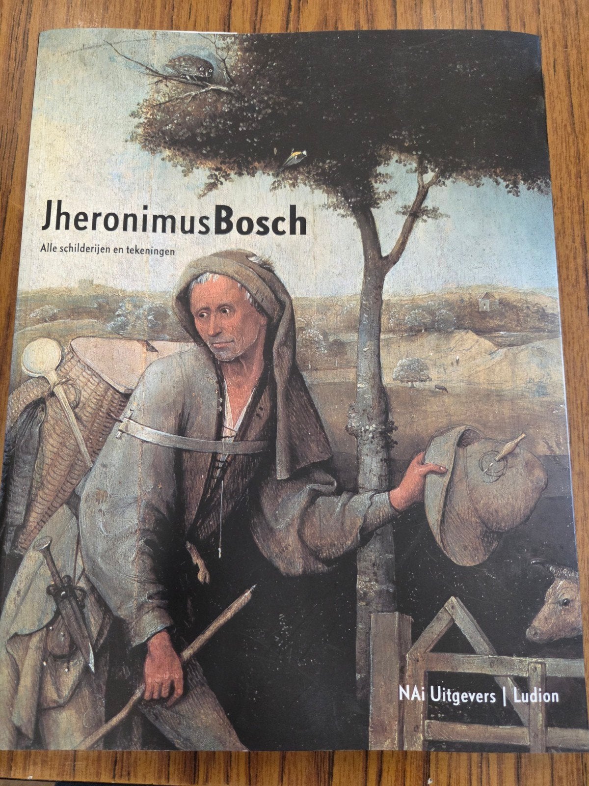 J. Koldeweij - Jheronimus Bosch, Ophalen of Verzenden, Zo goed als nieuw, J. Koldeweij; P. Vandenbroeck; B. Vermet