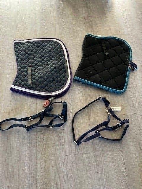 2 nieuwe dressuur dekjes en 2 nieuwe halsters maat full, Ophalen, Nieuw