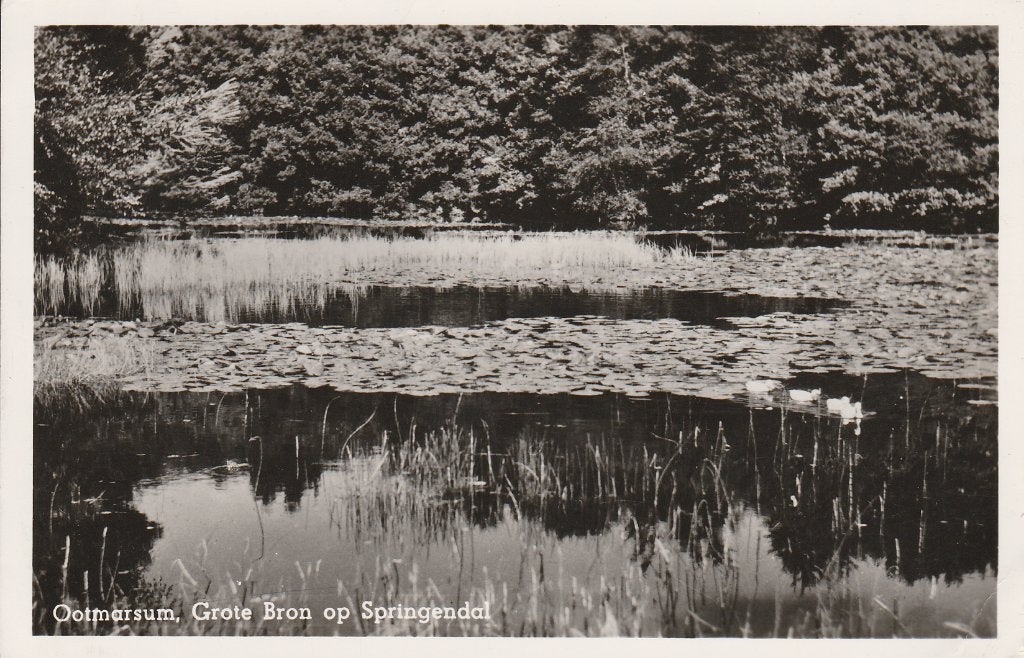 OOTMARSUM 1953 Grote Bron op Sppringendal, Ophalen of Verzenden, 1940 tot 1960, Gelopen, Overijssel