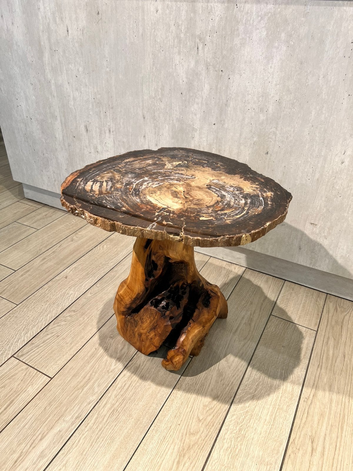 Prachtige bijzettafel versteend hout Arizona, Ophalen of Verzenden, Fossiel