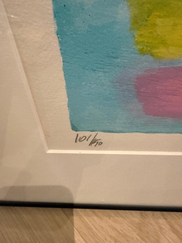 Wouter Stips Zeefdrukken, Zeefdruk, Ingelijst, Abstract, Ophalen