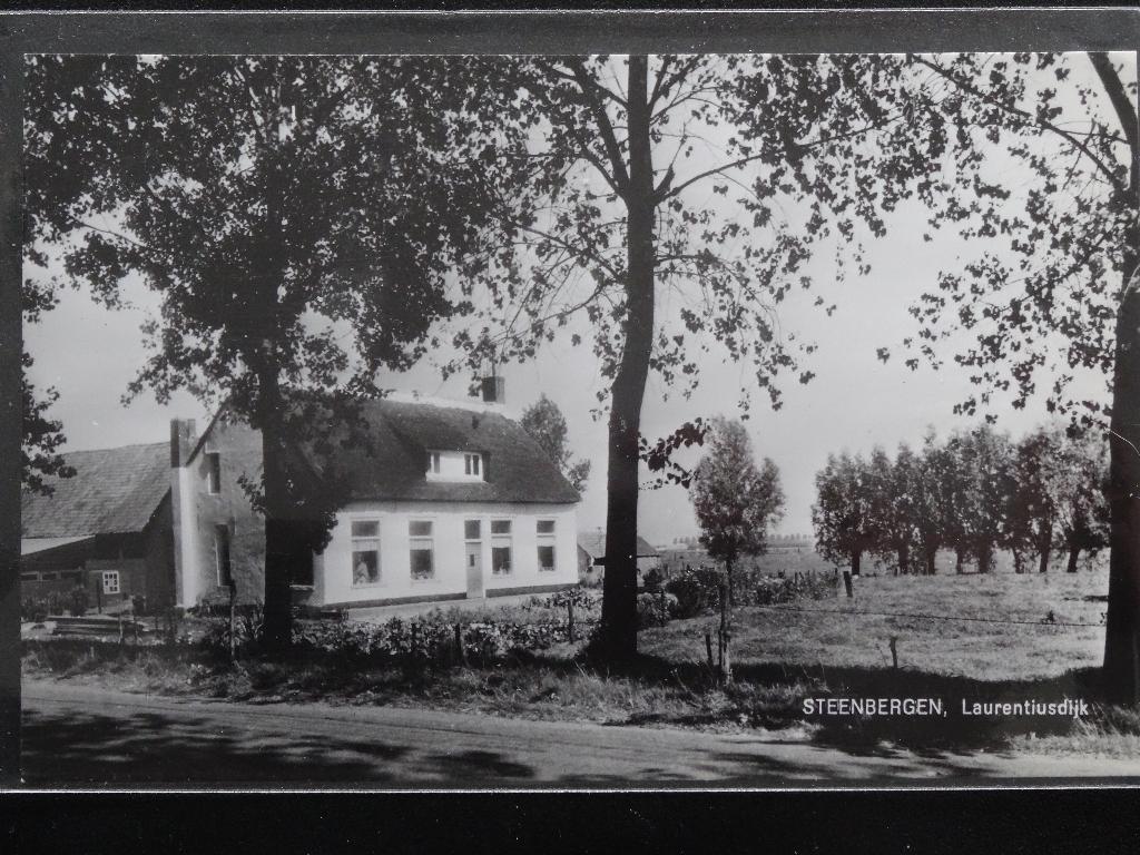 STEENBERGEN   Laurentiusdijk, Verzamelen, Ansichtkaarten | Nederland, Ongelopen, Noord-Brabant, 1960 tot 1980, Verzenden