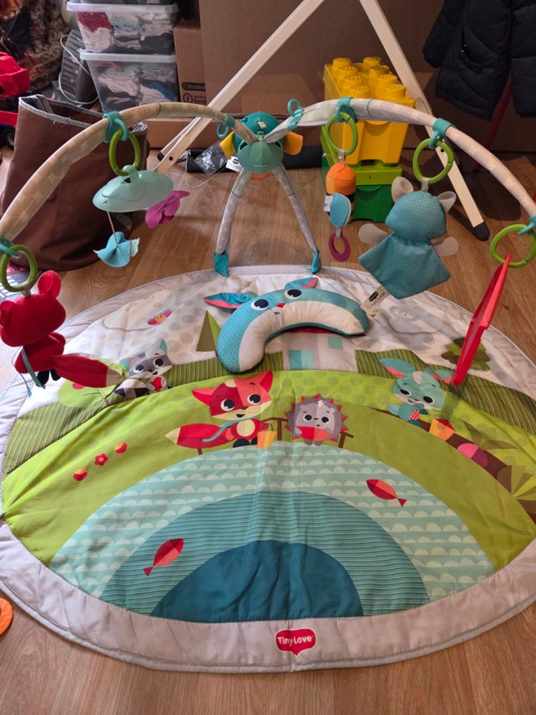Tiny Love Speelkleed met Babygym en Speeltjes, Kinderen en Baby's, Speelgoed | Babyspeelgoed, Ophalen, Gebruikt, Speelkleed