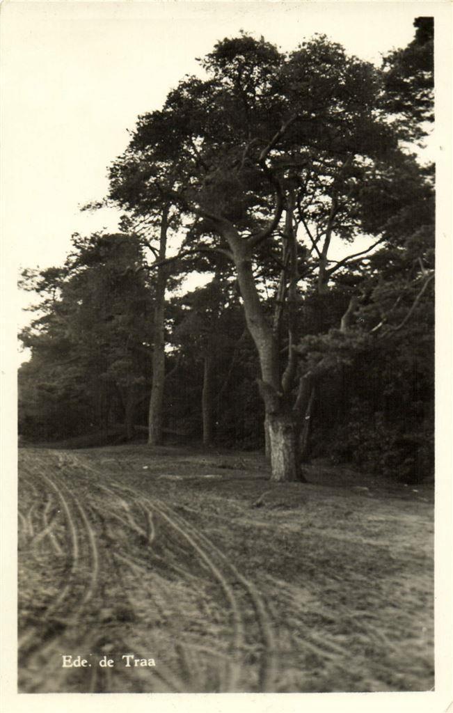 Ede. de Traa - 1956 gelopen, Verzamelen, Ansichtkaarten | Nederland, Gelopen, Gelderland, Voor 1920, Ophalen of Verzenden
