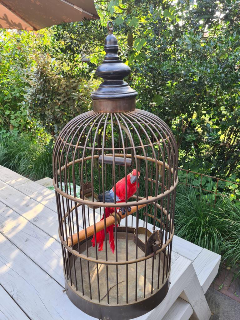 Antieke victoriaanse Vogelkooi - Decoratief en Charmant, Ophalen