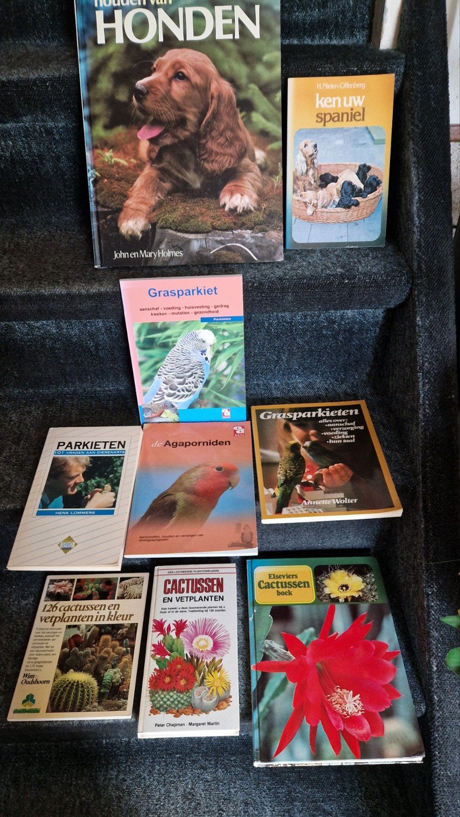Dieren- en plantenboeken: Honden, Parkieten, Cactussen, Boeken, Ophalen of Verzenden, Gelezen, Honden