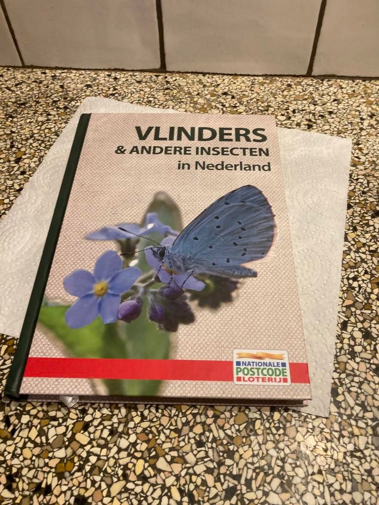 Boek vlinders, Ophalen of Verzenden, Zo goed als nieuw, Overige diersoorten