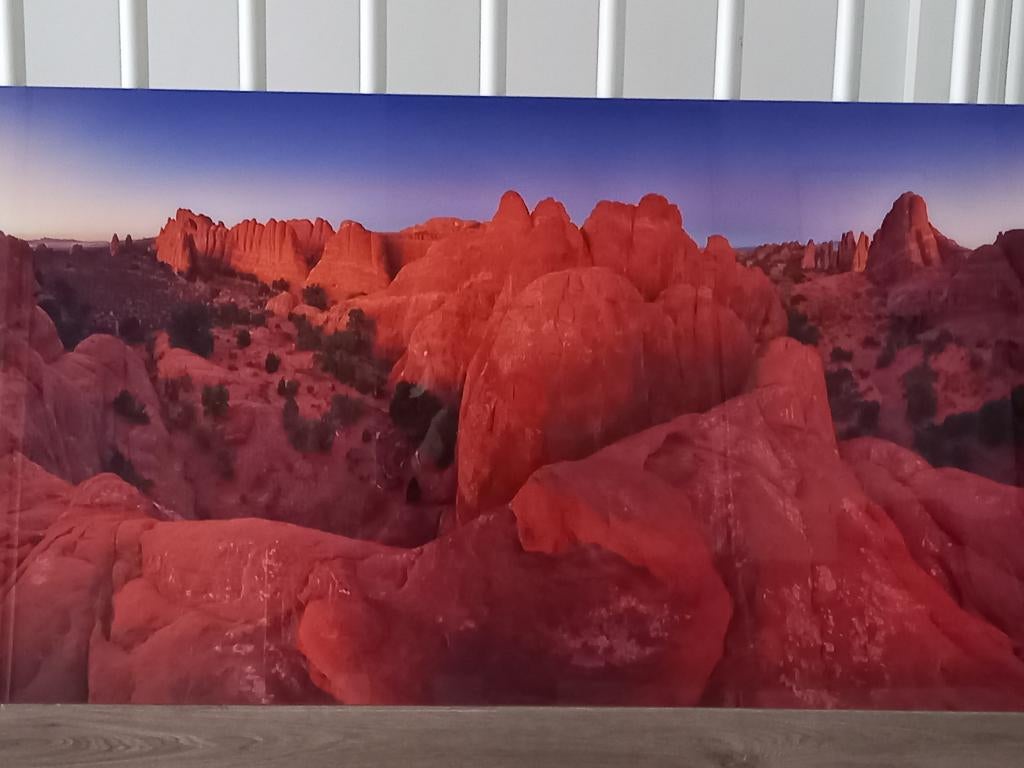 kunstfoto, Antiek en Kunst, Kunst | Tekeningen en Foto's, Ophalen