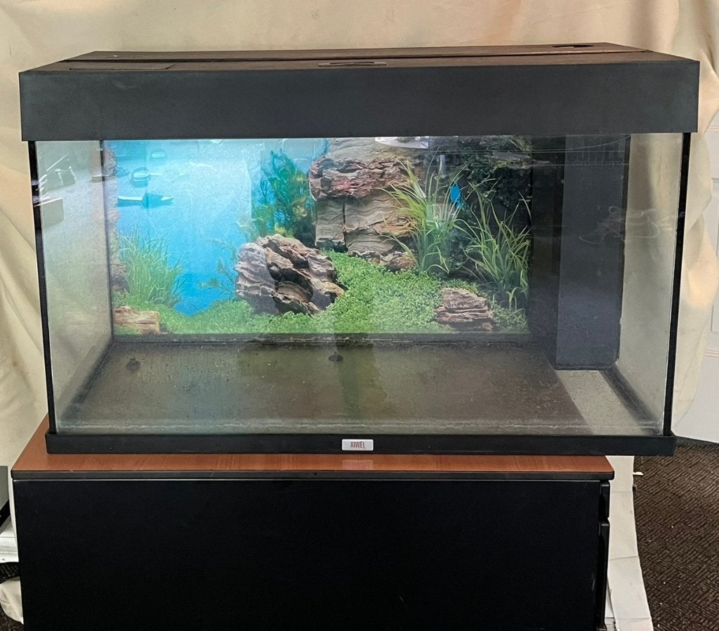 Juwel aquarium 80x35x50, Dieren en Toebehoren, Vissen | Aquaria en Toebehoren, Ophalen, Leeg aquarium, Juwel