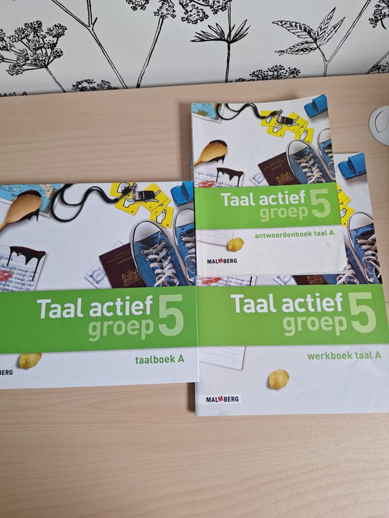 Taal Actief groep 5, Ophalen of Verzenden, Alpha, Nieuw
