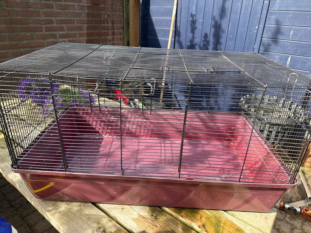 Knaagdier/hamster kooi, Dieren en Toebehoren, Kooi, Minder dan 75 cm, Hamster, Ophalen