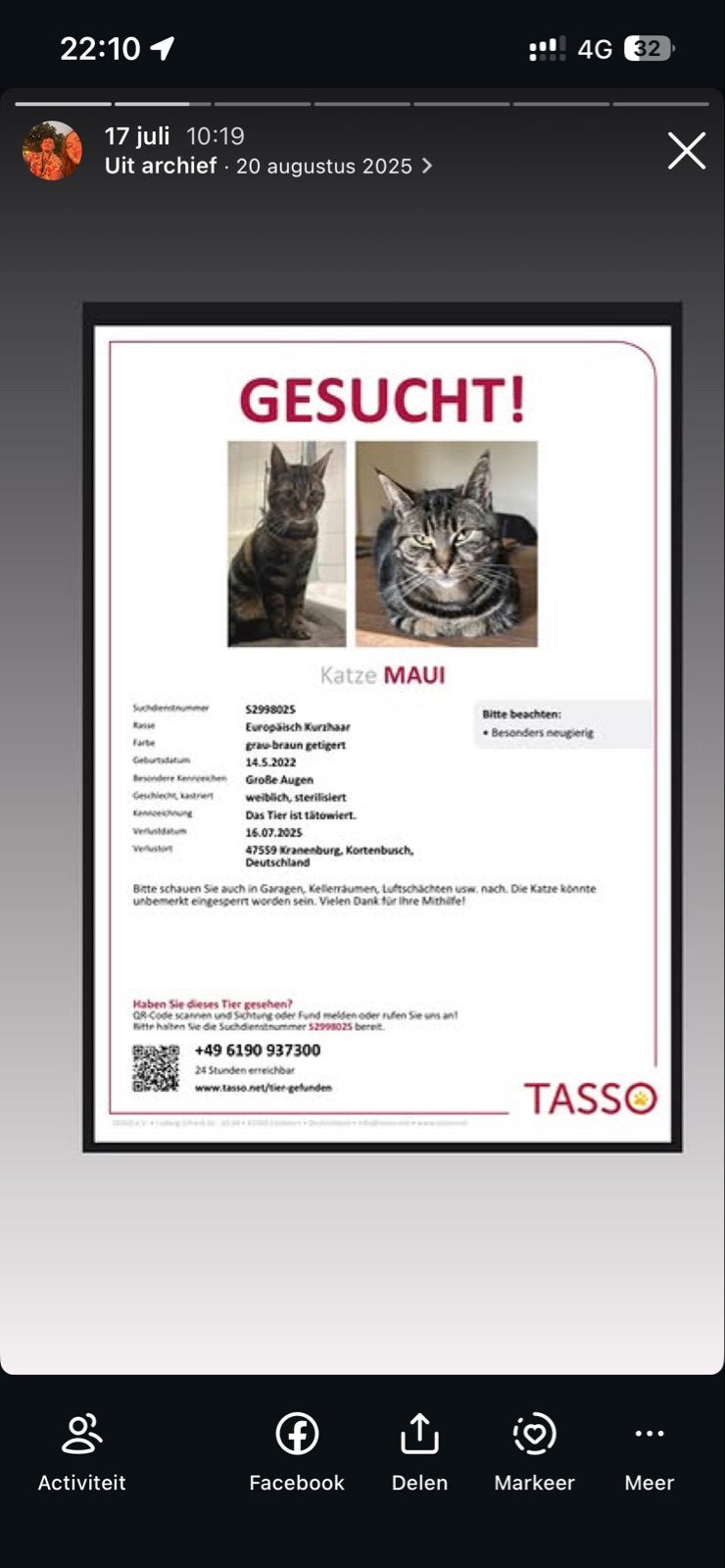 NOG STEEDS VERMIST – MAUI, Kat