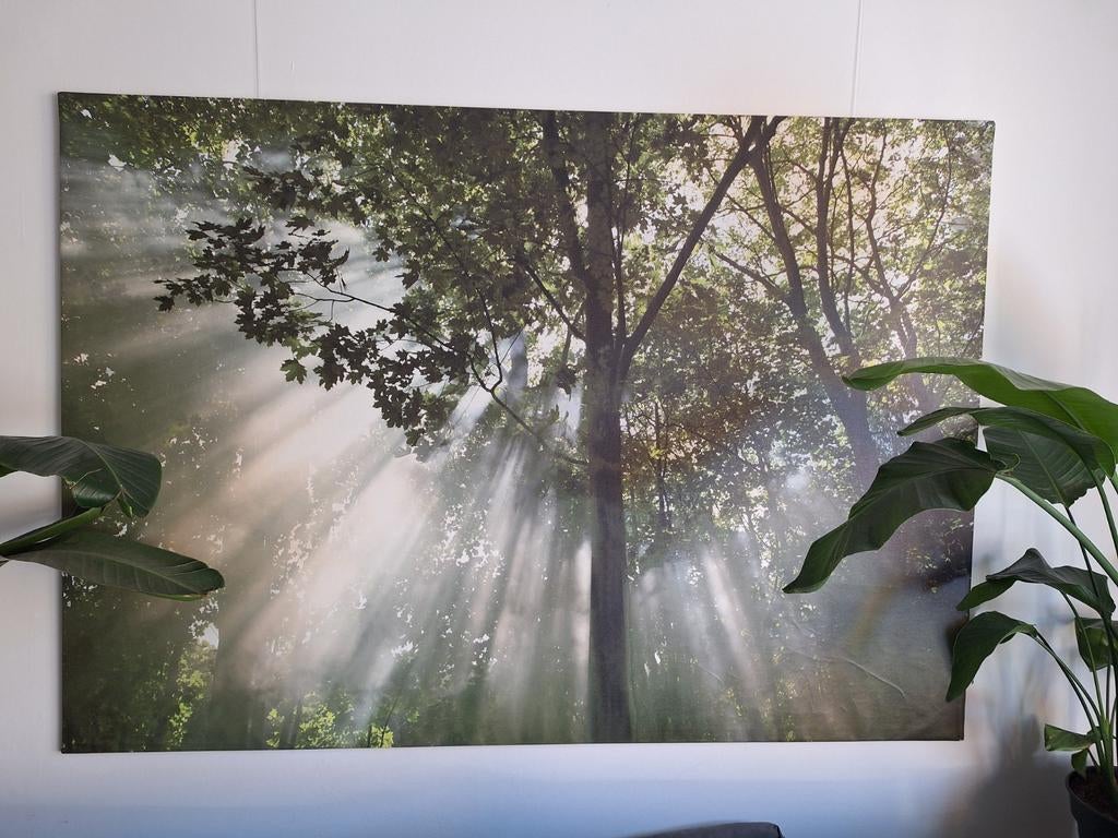 IKEA Canvas Bos met Lichtstralen - 200x140 cm, Huis en Inrichting, Woonaccessoires | Schilderijen, Tekeningen en Foto's, Gebruikt