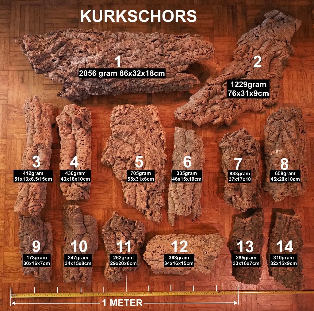 Prachtig Kurkschors (Kurk) schuilplaats Terrarium - Vivarium, Dieren en Toebehoren, Ophalen of Verzenden, Zo goed als nieuw, Tak, Plant, Rots of Steen