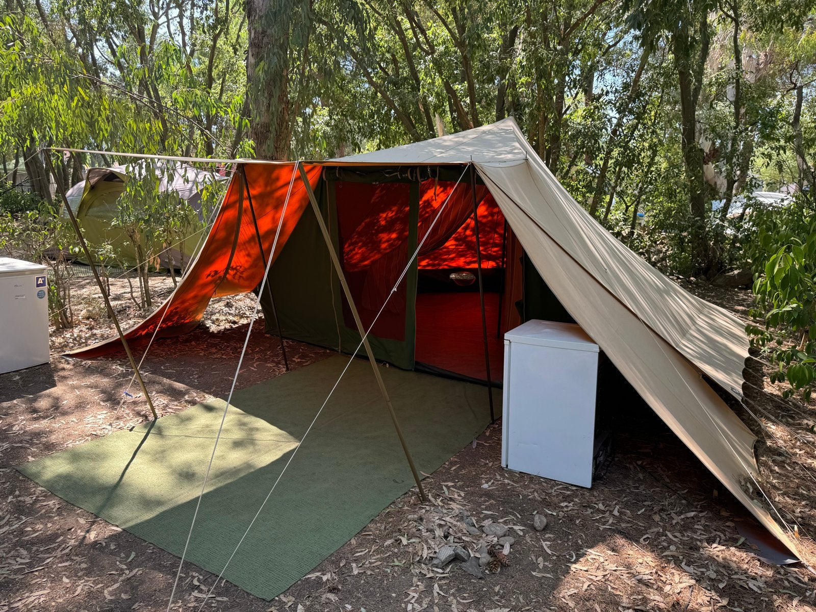 De Waard Albatros tent incl luifel, zijscherm, opbergschort, Caravans en Kamperen, Tenten, Ophalen, Gebruikt, Tot en met 4