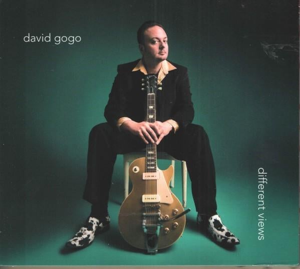 CD David Gogo Differend Views (Digipack), Ophalen of Verzenden, 1980 tot heden, Zo goed als nieuw, Blues