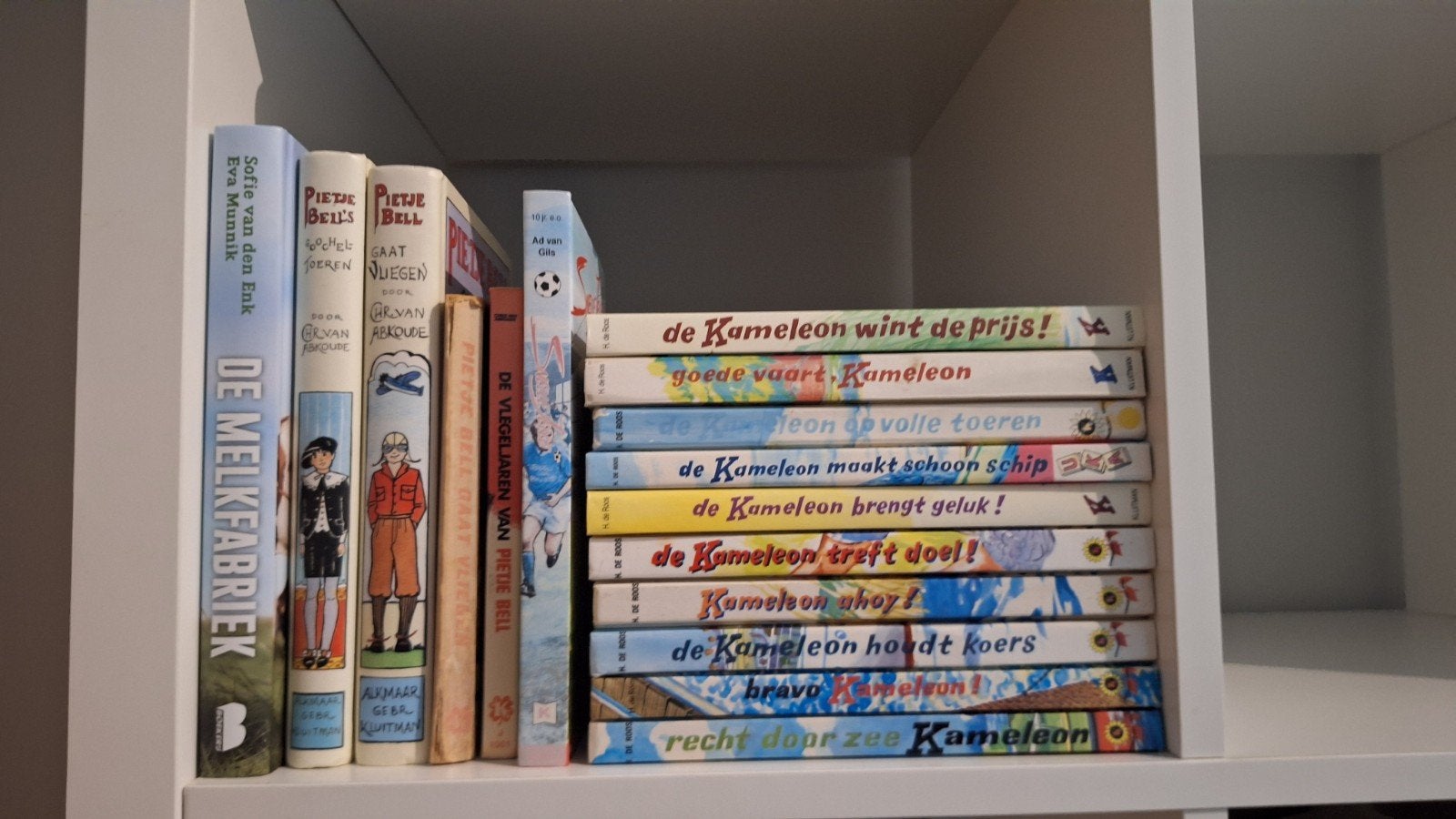 De Kameleon Boekenreeks en andere jeugdboeken, Boeken, Ophalen of Verzenden, Gelezen, H. de Roos, Chris van Abkoude, Sofie van den Enk, Eva Munnik