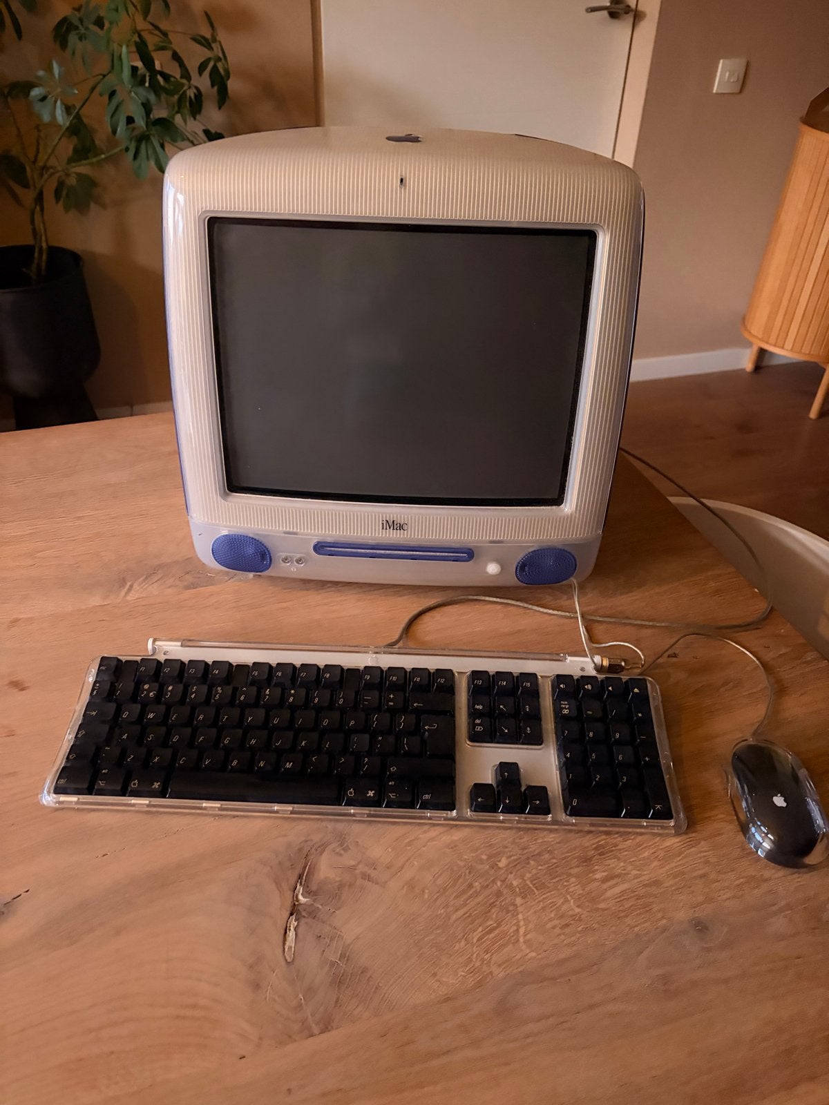 Vintage Apple iMac G3 met Toetsenbord en Muis, Ophalen