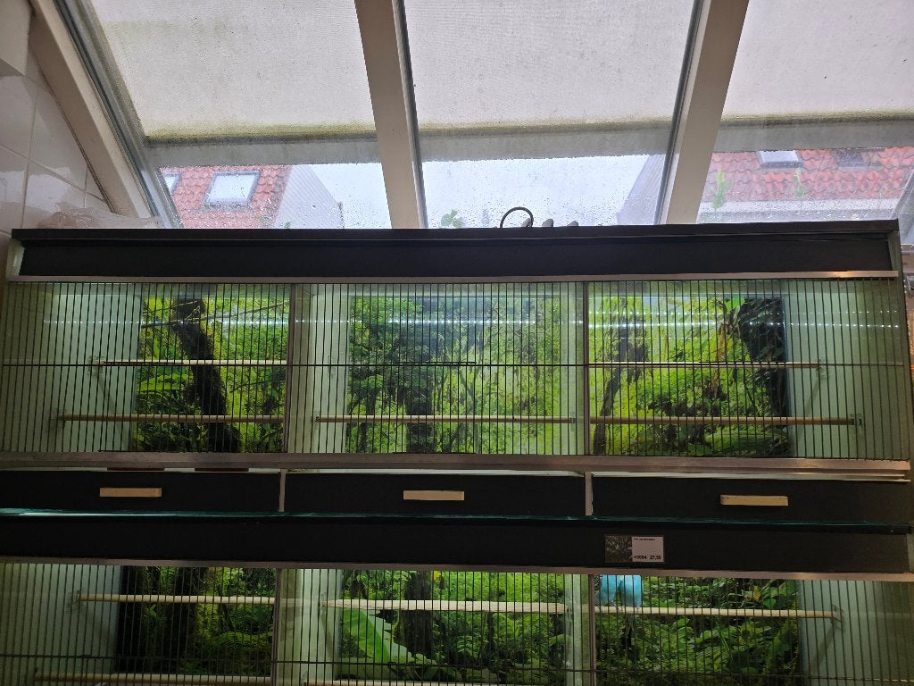 Glazen vogelkooien, Dieren en Toebehoren, Overige materialen, Gebruikt, Jarathana, Vogelkooi