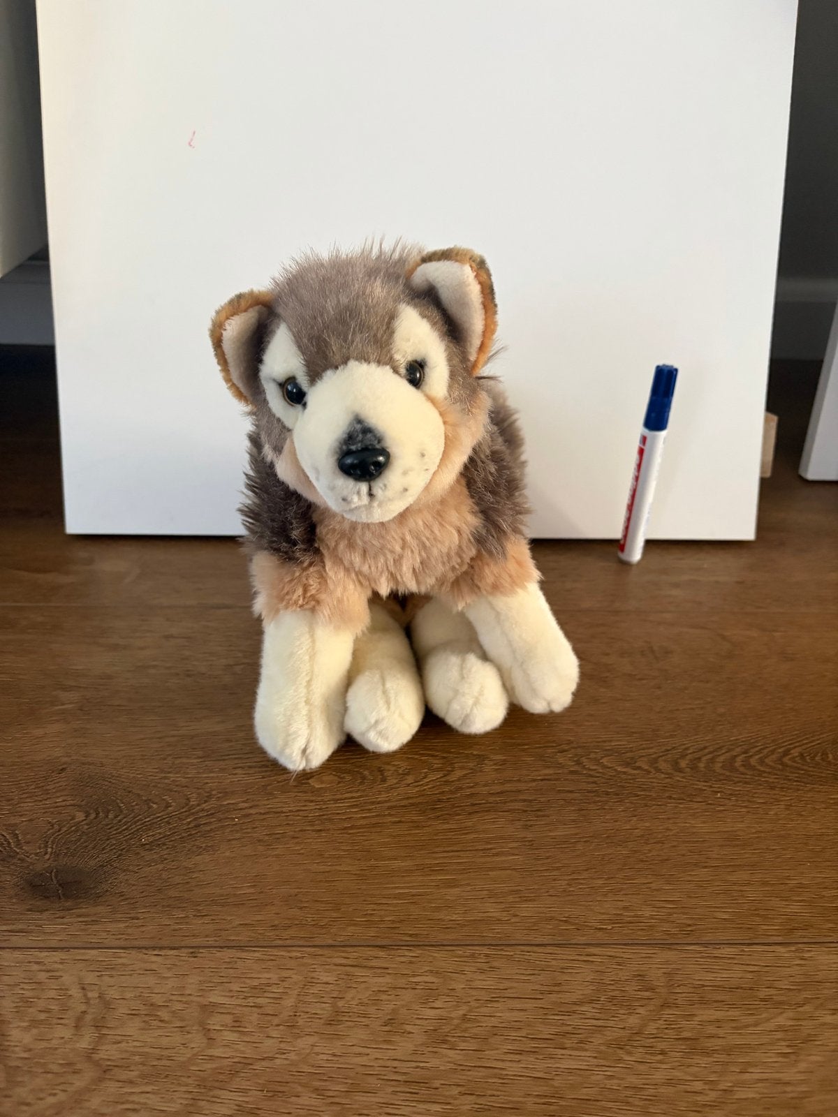 Schattige pluche husky knuffel, Zo goed als nieuw, Middelgroot (20 tot 80 cm), Bruin, Hond