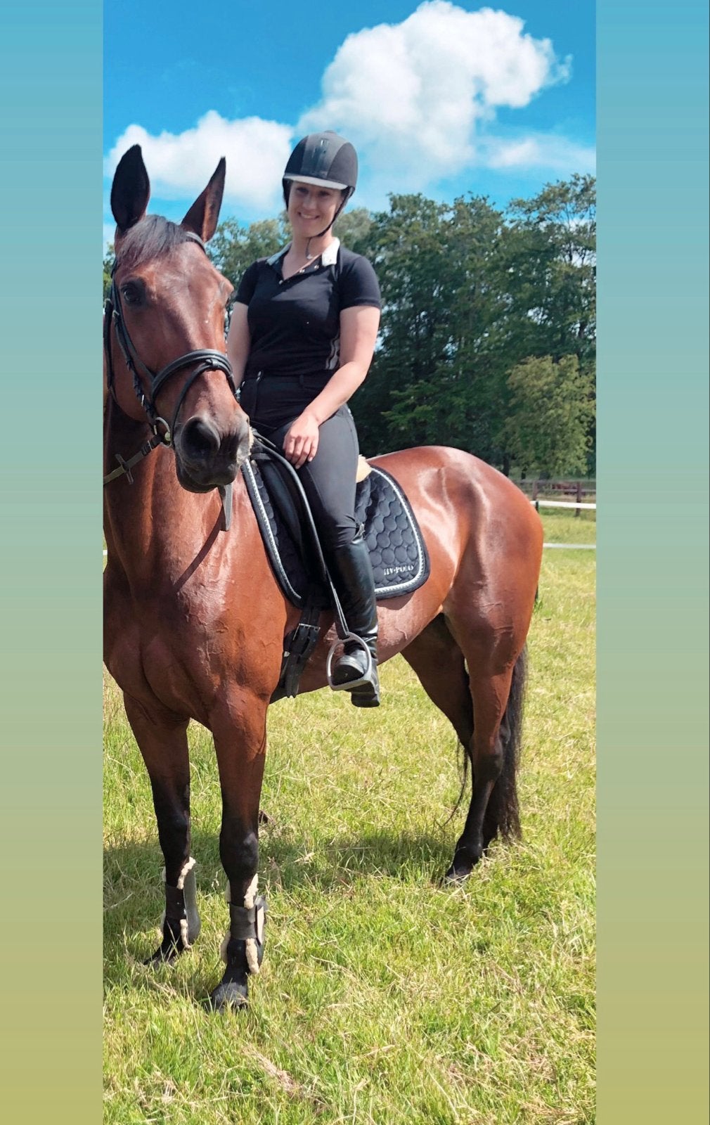 Lieve 13-jarige draver merrie- recreatie / familiepaard, Dieren en Toebehoren, Met stamboom, Zadelmak, 7 tot 10 jaar, 160 tot 165 cm