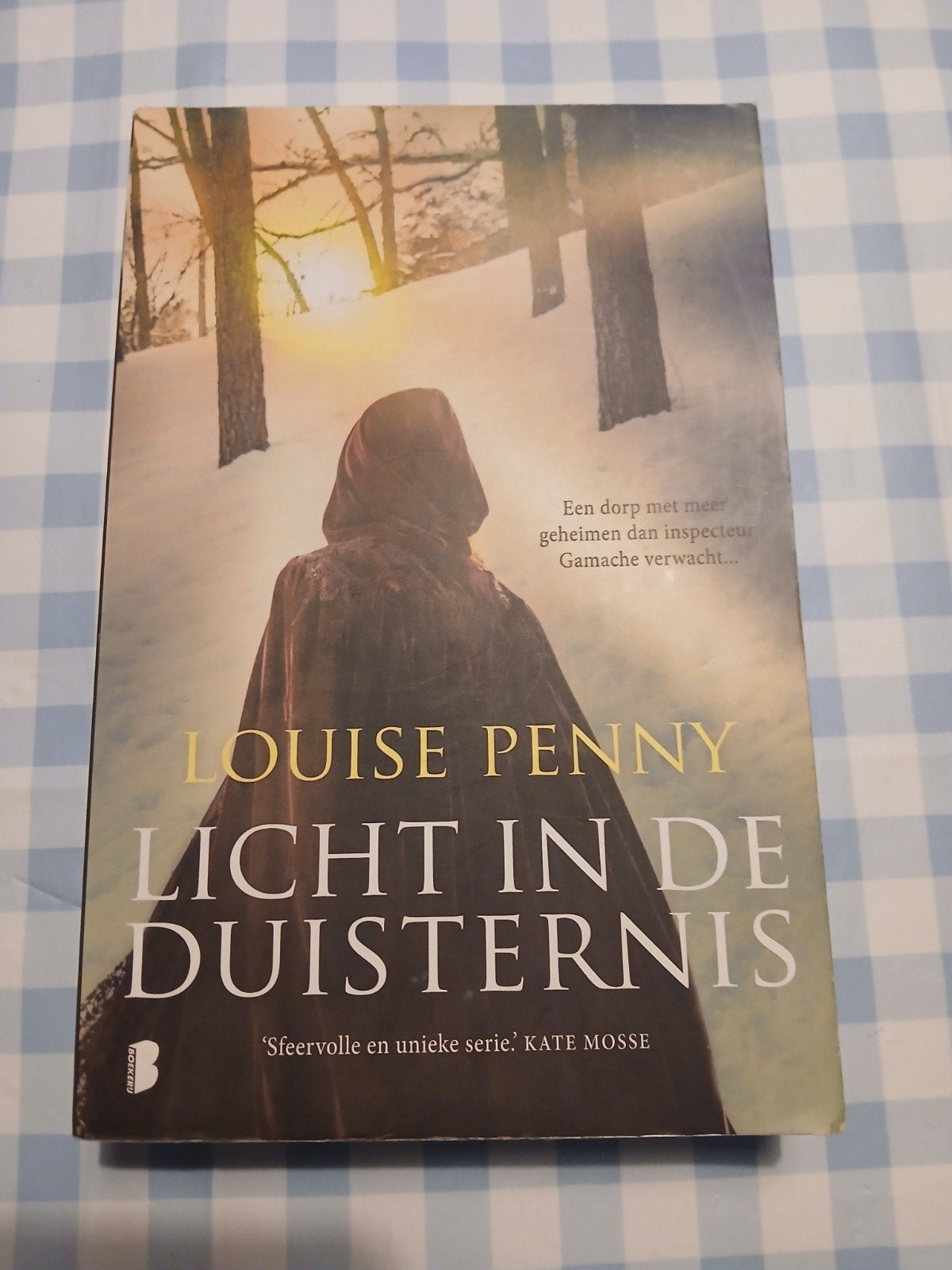 Licht in de Duisternis - Louise Penny (Zo goed als nieuw), Ophalen of Verzenden, Zo goed als nieuw, Louise Penny