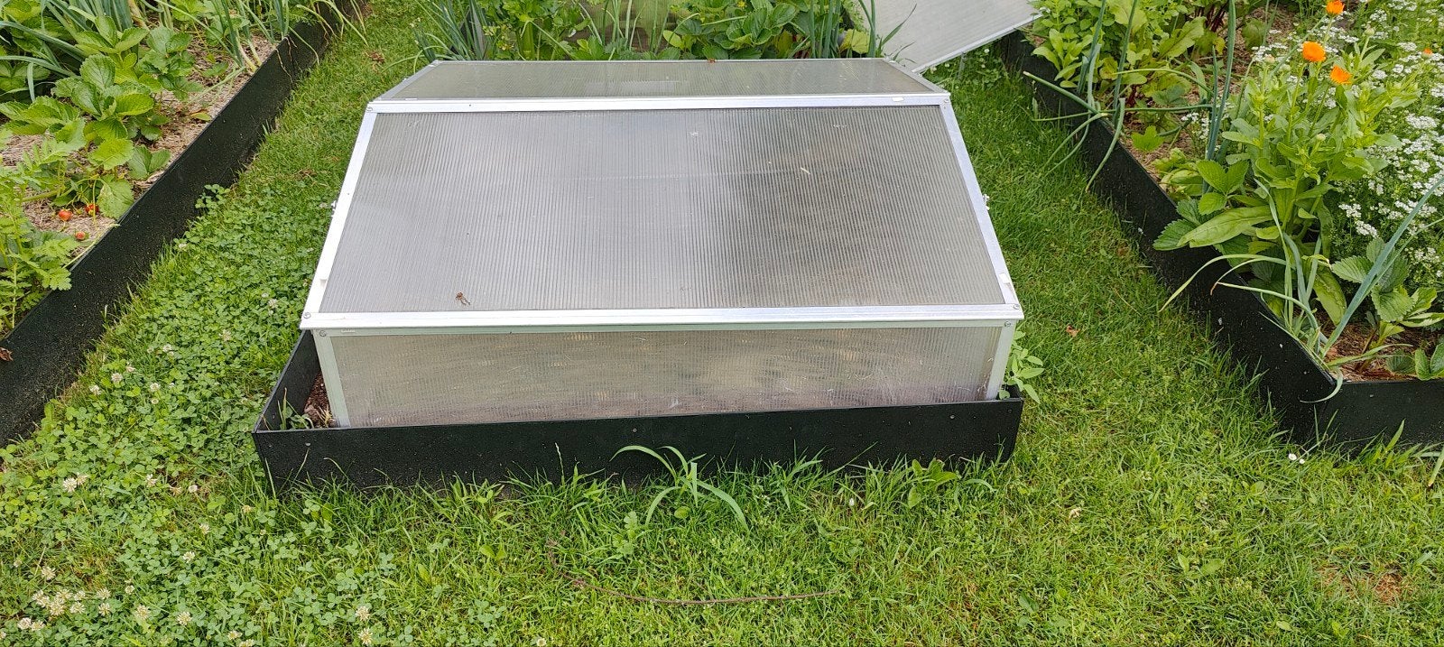Handige kleine kweekkassen, Tuin en Terras, Ophalen, Glas, Aluminium