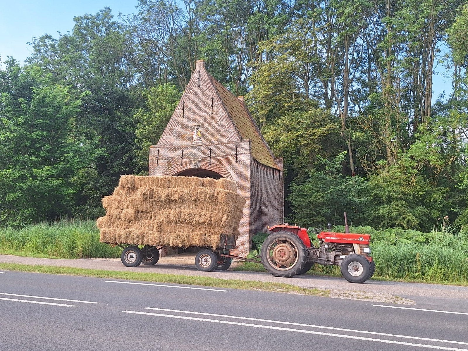 Prachtig Paardenhooi, Ophalen of Verzenden, Vee