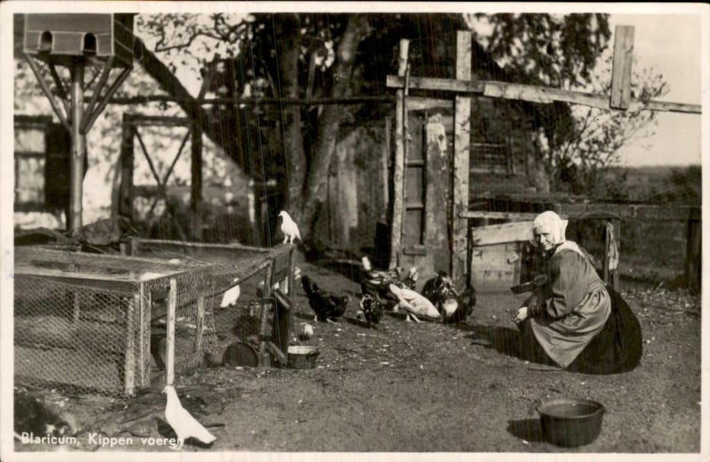 Blaricum - Kippen - Voeren, Ophalen of Verzenden, 1940 tot 1960, Gelopen, Noord-Holland