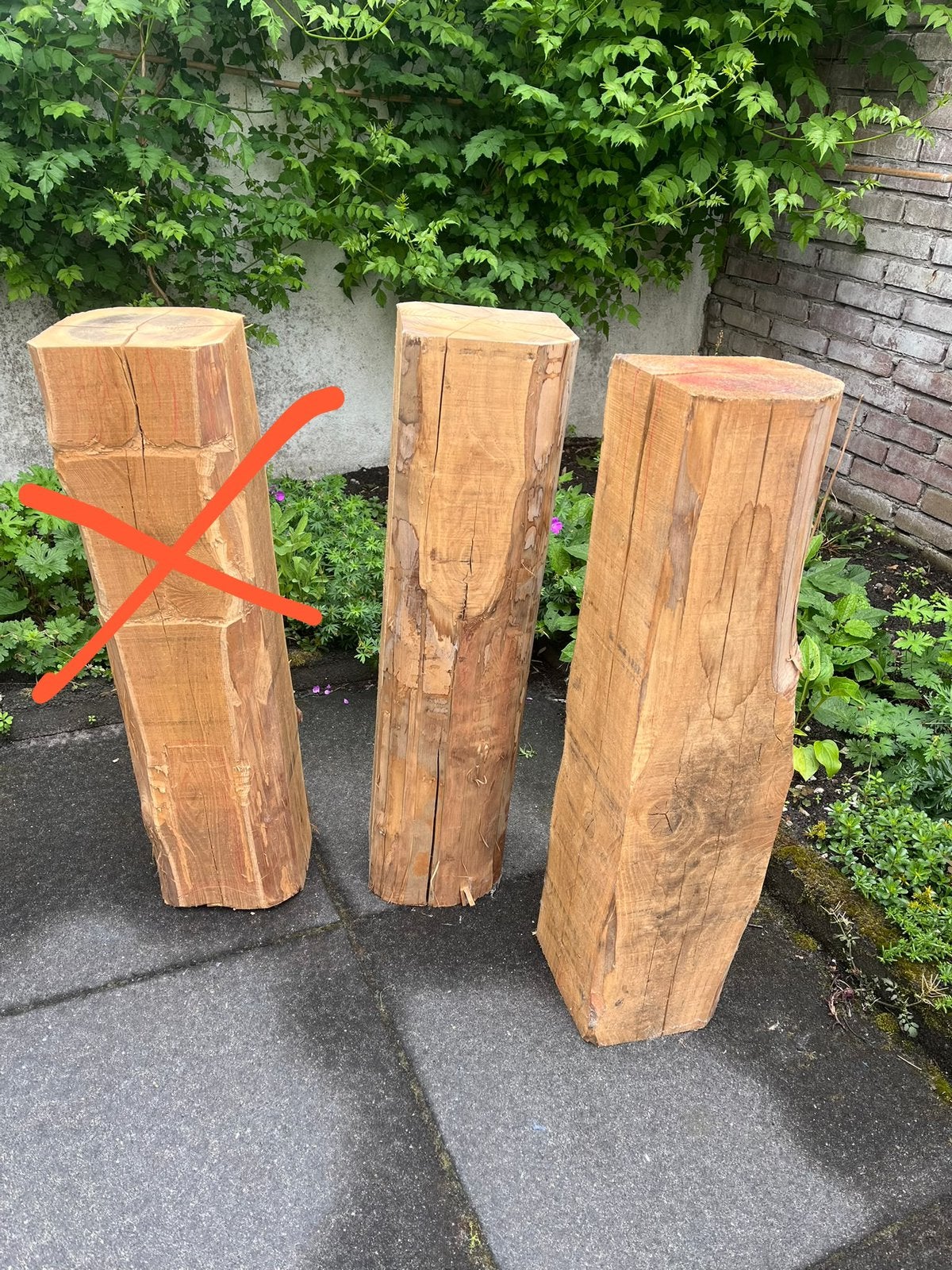 2 x Tamme Kastanje, Ophalen, Minder dan 25 mm, Zo goed als nieuw, Pallet