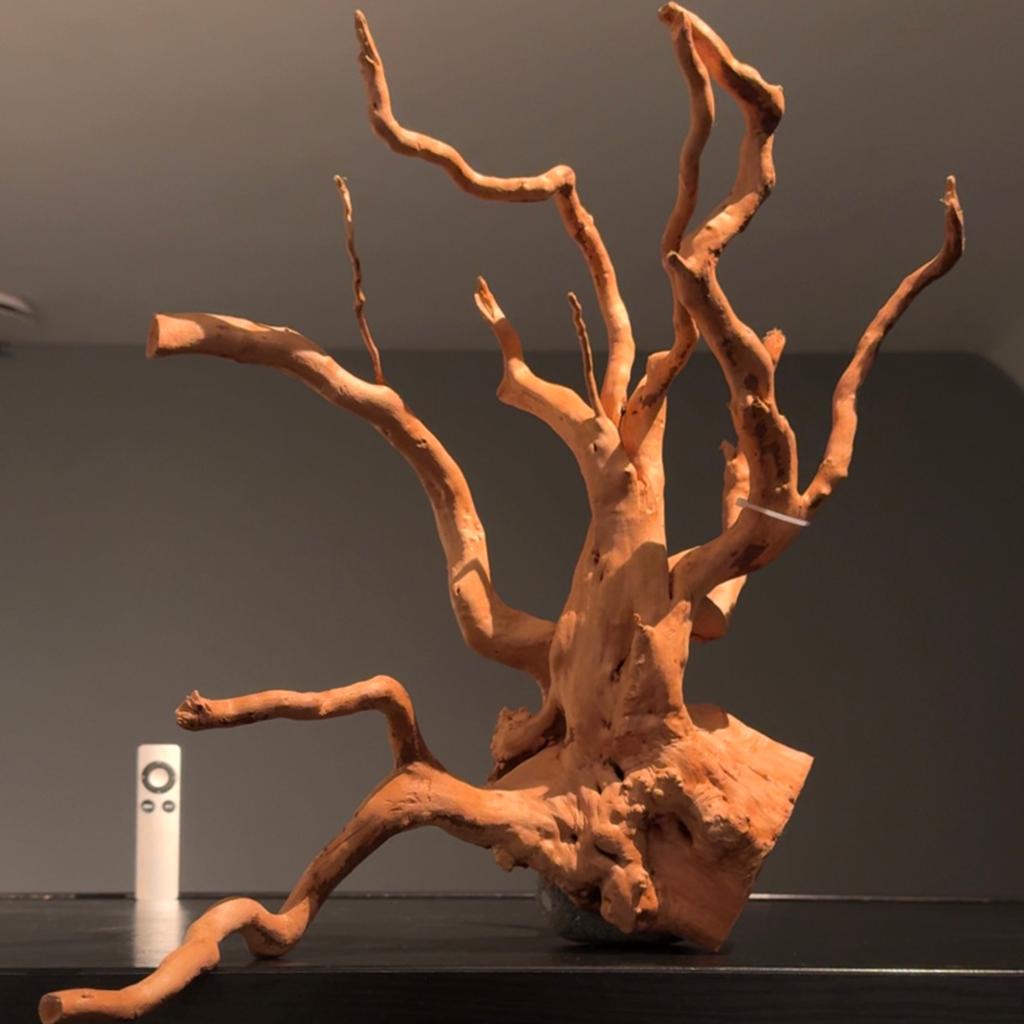 Groot stuk Spiderwood / Driftwood / Kienhout, Hout Decoratie, Ophalen of Verzenden, Plant(en), Steen of Hout