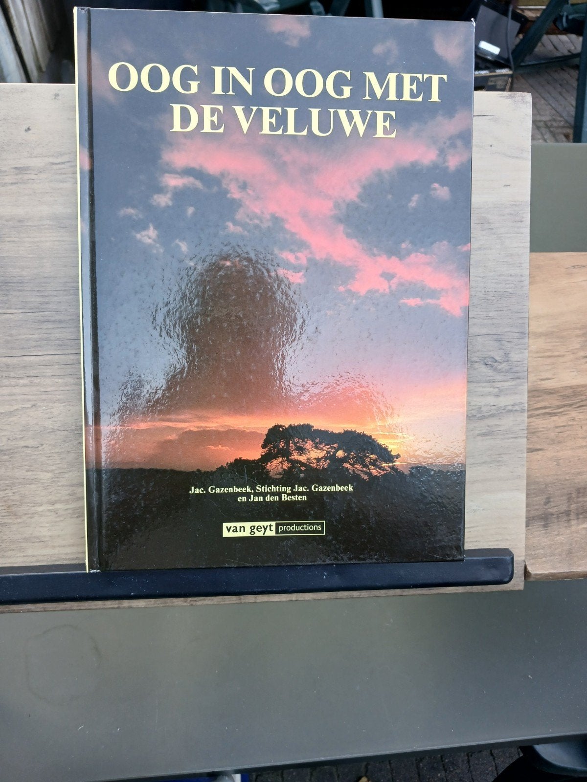 Oog in Oog met de Veluwe - Natuurboek, Boeken, Ophalen of Verzenden, Zo goed als nieuw, Natuur algemeen, Jac. Gazenbeek, Stichting Jac. Gazenbeek en Jan den Besten