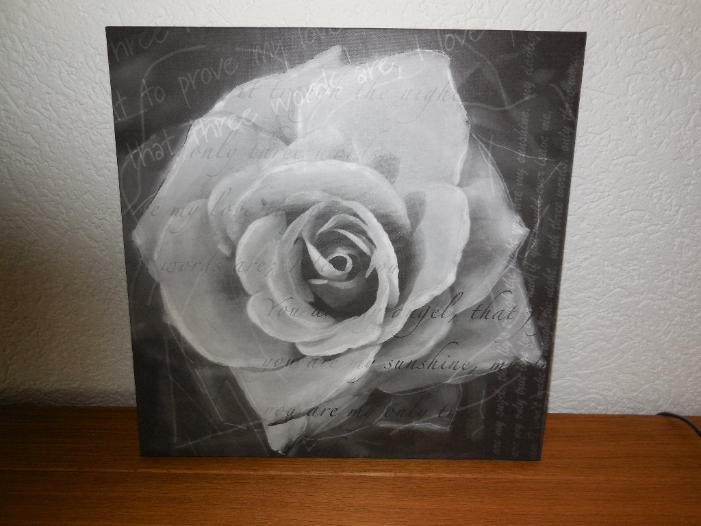 Schilderij bloem grijs, Ophalen, Minder dan 50 cm, Zo goed als nieuw, Schilderij
