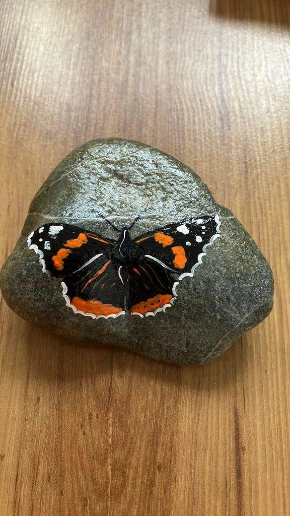 Beschilderde steen vlinder, Ophalen of Verzenden, Zo goed als nieuw