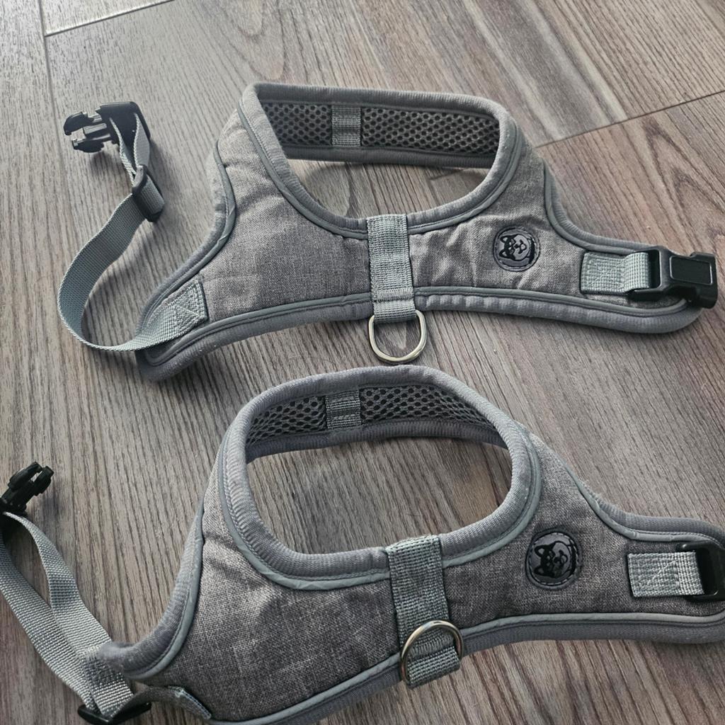 2x tuigje met riempje maat m/l, Ophalen of Verzenden