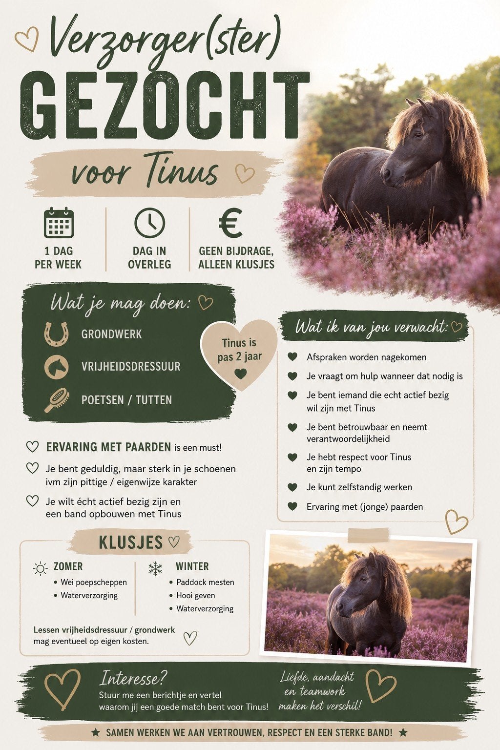 Verzorger gezocht, Ophalen of Verzenden