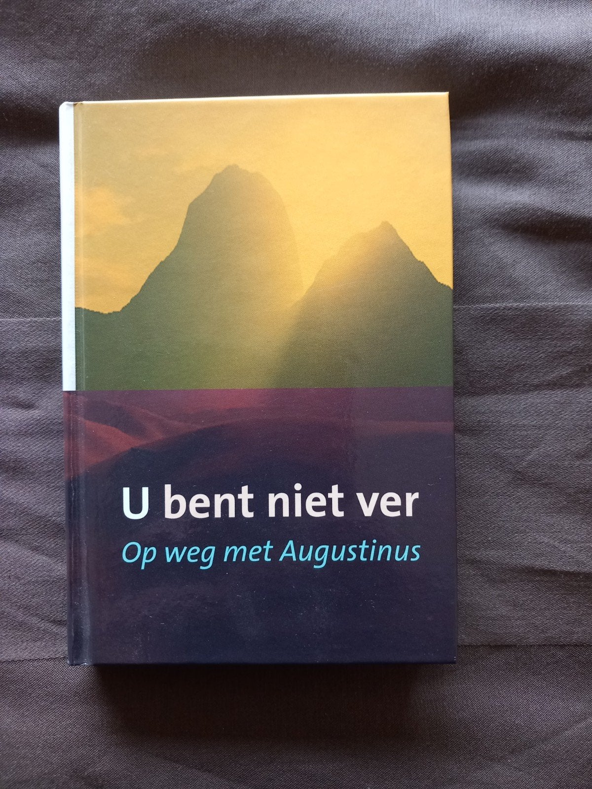 U bent niet ver: Op weg met Augustinus - Dagboek, Ophalen of Verzenden