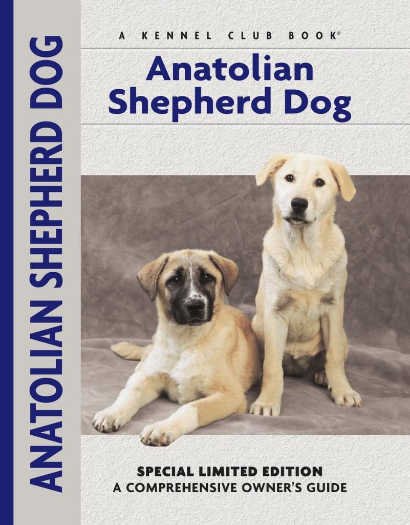 Anatolian Shepherd Dog - Richard Beauchamp, Ophalen of Verzenden, Honden