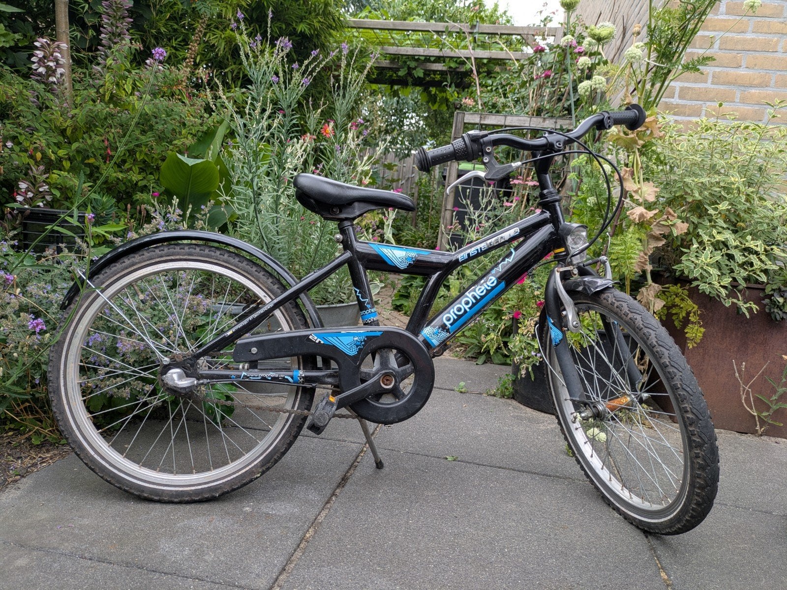 Jongensfiets 20 inch, Ophalen, Terugtraprem, 20 inch, Handrem